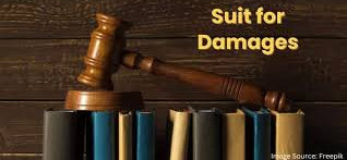 Suit for Damages