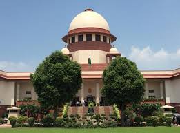 Transfer Petition at Supreme Court Case