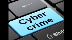 Cyber Law Case